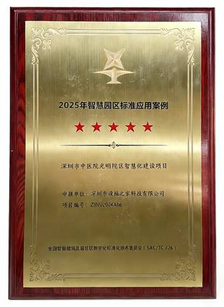 深圳中医院五星奖牌